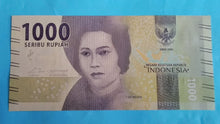 Laden Sie das Bild in den Galerie-Viewer, Banknote aus Indonesien 1000 Rupiah 2016 Unc
